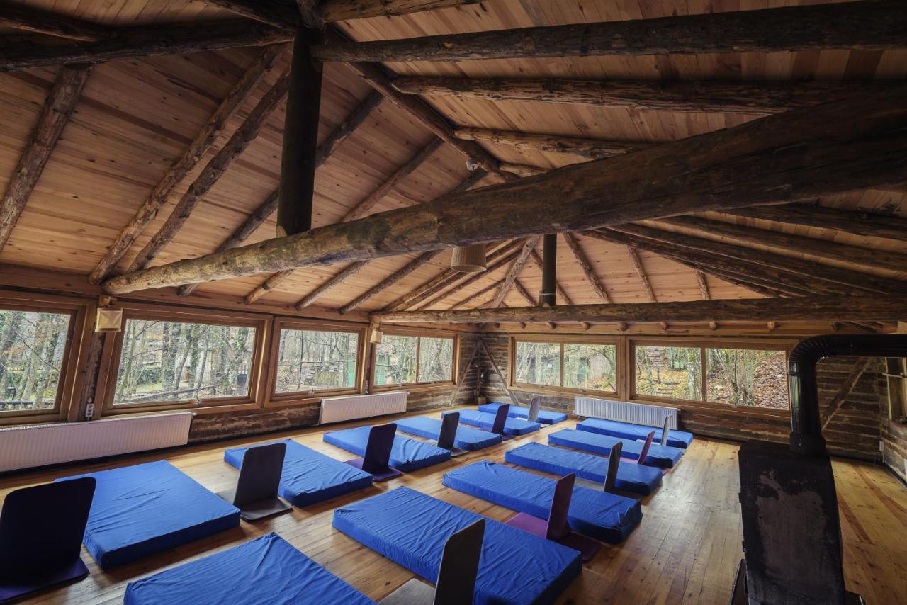 Hotel Hindiba Doga Evi à Mengen Extérieur photo